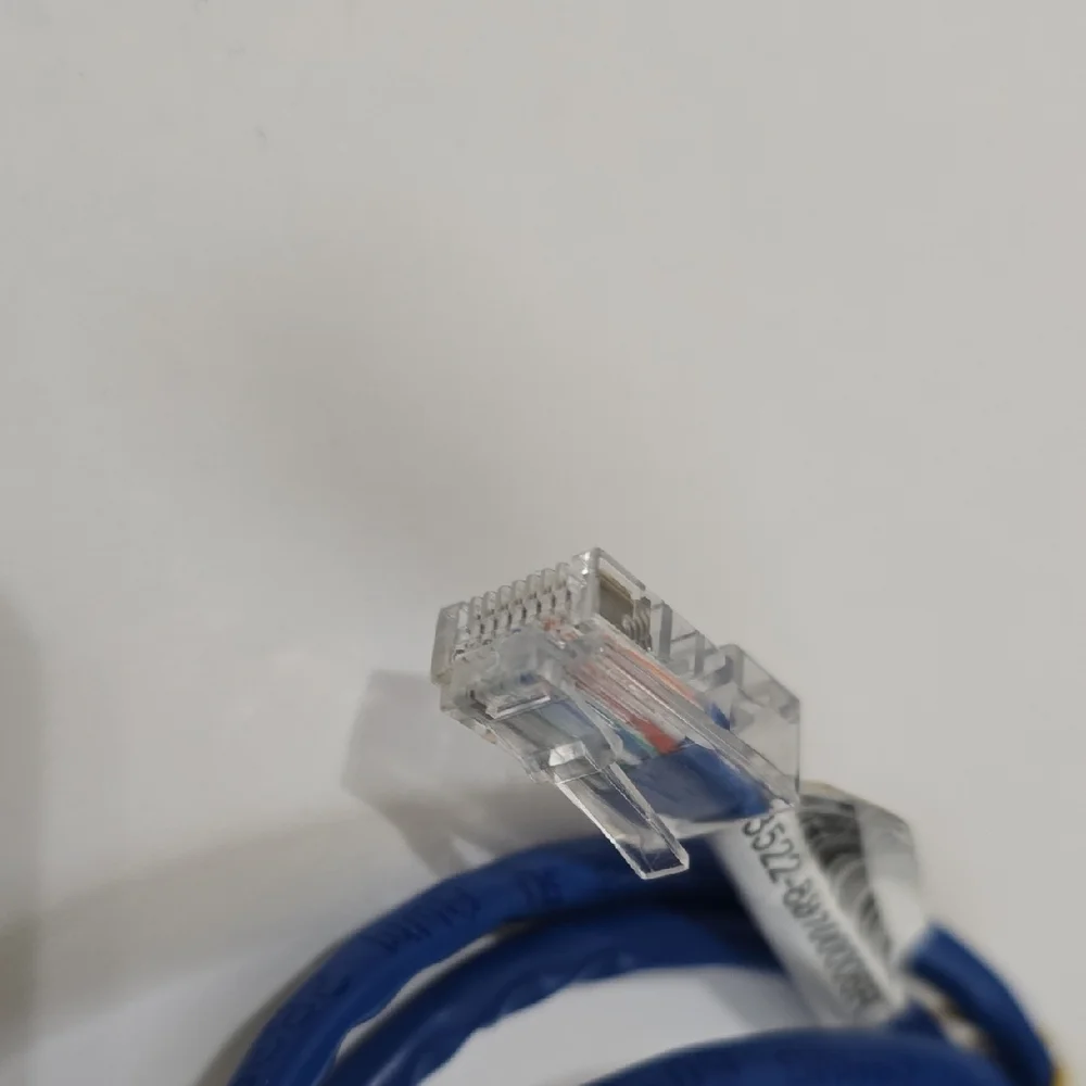 Blue Ethernet Cable ~ 2 Feet 10 inches